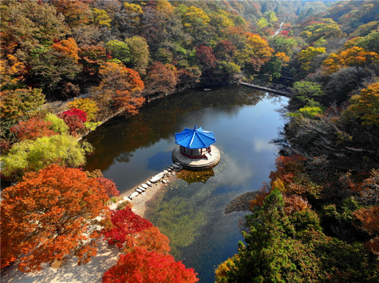 메인사진