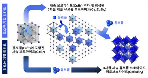 썸네일이미지